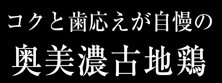 奥美濃古地鶏鍋セットメイン画像2