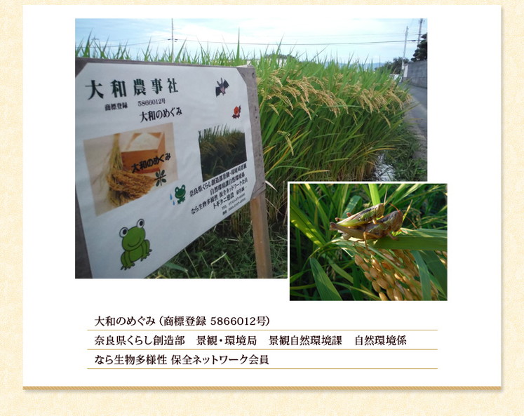 奈良県 「大和 めぐみ米(ヒノヒカリ) 玄米30kg」