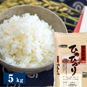 奈良県産ひのひかり 5kg 米匠庵のお米 精米【送料込み】