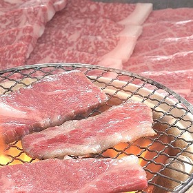 佐賀牛 焼きしゃぶ＆焼肉 セット 計600g 牛肉 焼き肉【送料込み】