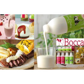 Boccaの乳製品詰め合わせA プリン4個 ドリンク200g×4本 チーズソース【送料込み】【二重包装不可】