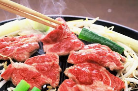 北海道特産品 ジンギスカン 特製味付けジンギスカン(500g)【厳選生ラム肉使用】北海道専門店の味 【送料込み】【代引き不可】