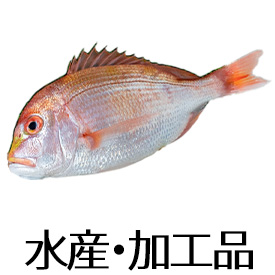 魚・加工品