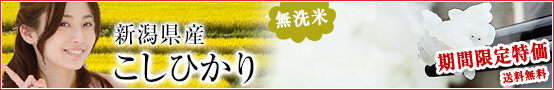 無洗米 新潟産こしひかり