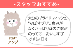 スタッフのおすすめ
