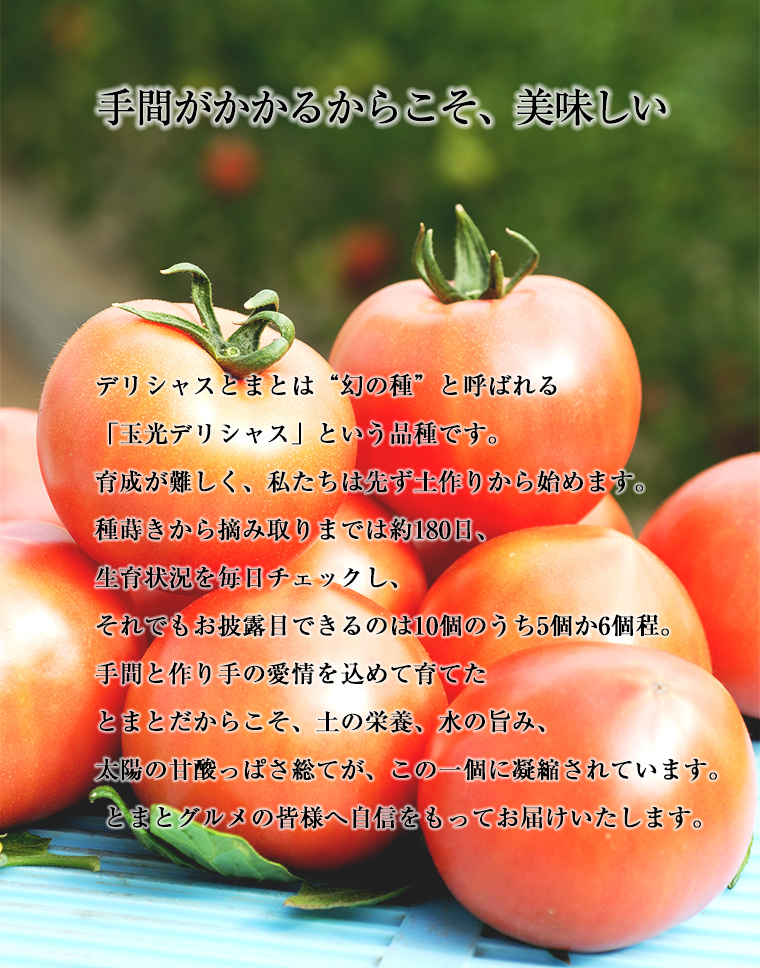 紅白トマトジュース100gメイン画像2