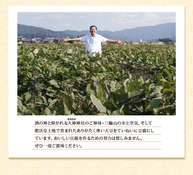 奈良県「天理お豆腐ほのぼのセットB」
