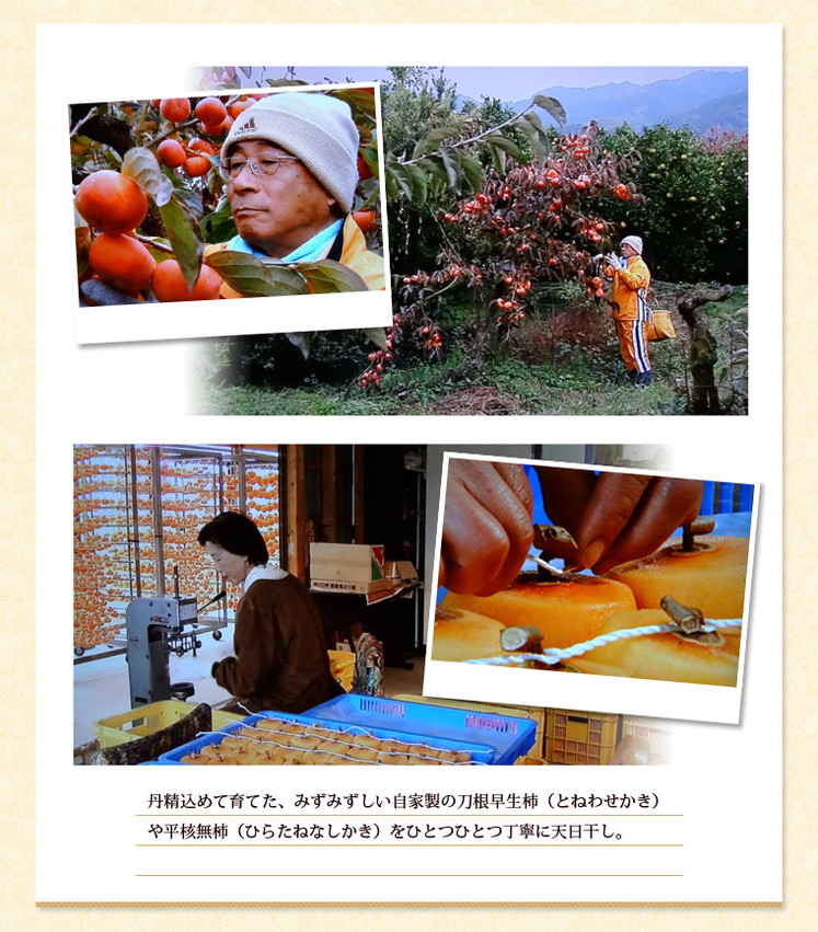 奈良県「柿の辺(柿チップ)110g×3袋」