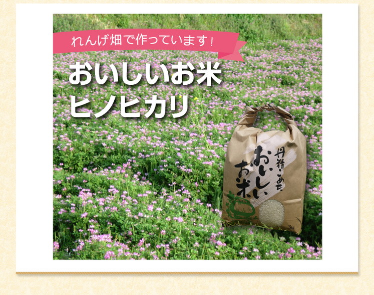 奈良県 平成29年度新米 「お米 ヒノヒカリ 5kg」