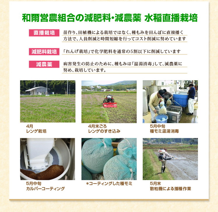 奈良県 平成29年度新米 「お米 ヒノヒカリ 5kg」