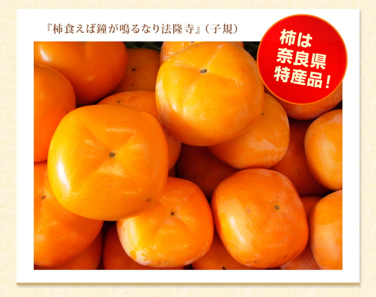 奈良県「たねなし柿(刀根早生柿、平核無柿)2L/32個入り」