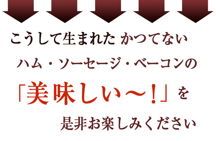 愛知県無添加ゆうぼくハム・ソーセージセット