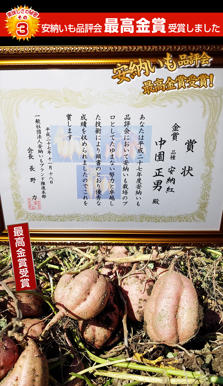 鹿児島県特産品 安納芋メイン画像4