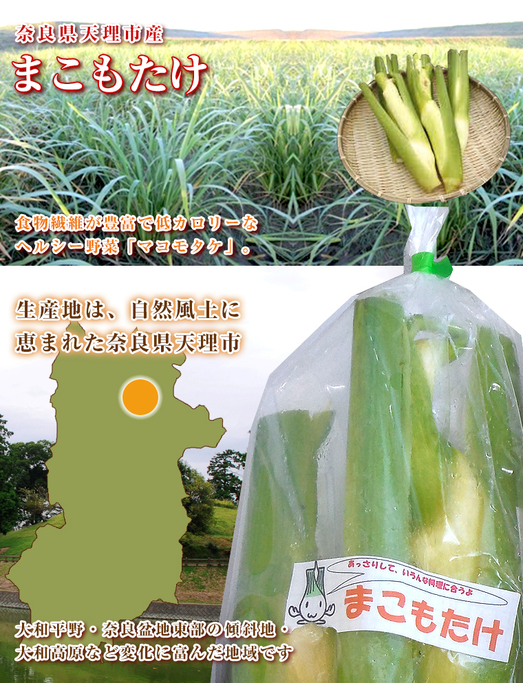 マコモタケ メイン画像1