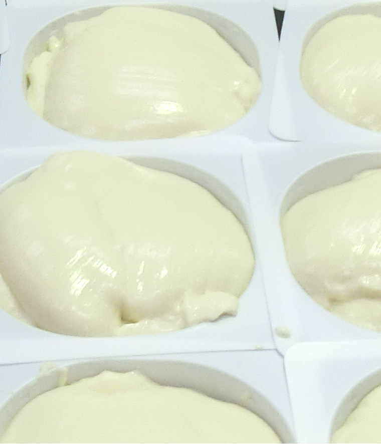天理お豆腐ほのぼのセットB メイン画像6