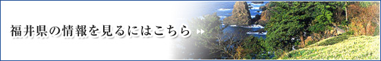 福井県の情報をみる