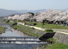 京都市