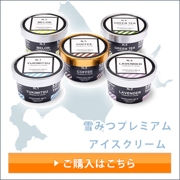 北海道ミルク 雪みつプレミアムアイスクリーム