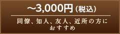 ～3,000円（税込）