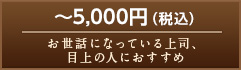 ～5,000円（税込）