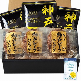 【父の日2025】神戸ビーフハンバーグ&カレー詰合せ 3786-50 4997-350 洋風惣菜 詰合せ【送料込み】【二重包装不可】【お届け不可地域:北海道・沖縄・離島】【お届け日時指定不可】