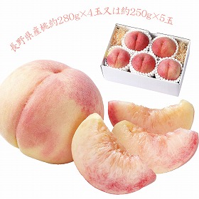 3%OFF【お中元2025】長野県産 桃 4~5玉 4727-044 フルーツ 果物【送料込み】【お届け不可地域:北海道・沖縄・離島】【お届け日時指定不可】