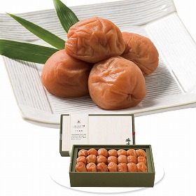 3%OFF【お中元2025】中田食品 梅道 紀州南高梅うす塩味 255 4749-014 梅干し【送料込み】【お届け不可地域:北海道・沖縄・離島】