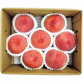 【お中元2025】JAふえふき 山梨の桃 A11-1B フルーツ 果物 桃【送料込み】【二重包装不可】【お届け不可地域:離島】【お届け日時指定不可】_643
