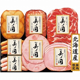 【お中元2025】日本ハム 北海道 プレミアム 美ノ国 UKH-53 ハムギフト【送料込み】【二重包装不可】【お届け不可地域:離島】_904