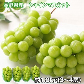 長野県産 シャインマスカット 1.8kg フルーツ 果物【送料込み】【お届け不可地域：離島】