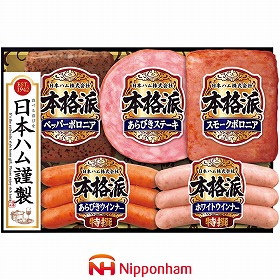 【お歳暮2025】日本ハム 本格派ギフト 4種 計5 ハムギフト【送料込み】【お届け不可地域：離島】_931