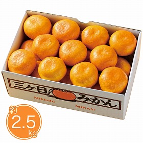 【お歳暮2025】静岡県産 三ヶ日みかん約2.5kg 9831-014 フルーツ 果物【送料込み】【二重包装不可】【お届け不可地域:北海道・沖縄・離島】【お届け日時指定不可】