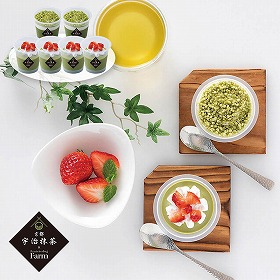 プレーリードッグ ファーム 京都・宇治抹茶パフェ＆ティラミスのアイスセット PFMI-006 4822-224 スイーツ【送料込み】【二重包装不可】【お届け不可地域：北海道・沖縄・離島】