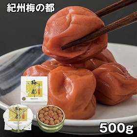 中田食品 紀州梅の都 500g 81 4829-191 梅干し【送料込み】【お届け不可地域：北海道・沖縄・離島】