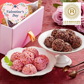 【バレンタイン2026】銀座京橋 レ ロジェ エギュスキロール クランチチョコレートアソート YJ-CRH スイーツ チョコ 洋菓子【送料込み】【二重包装不可】