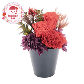 【母の日2026】プリザーブドフラワー フルールスーリル レッド 24-MD-01-R 1851-945 花【送料込み】【二重包装不可】【お届け不可地域：北海道・沖縄・離島】【お届け日時指定不可】