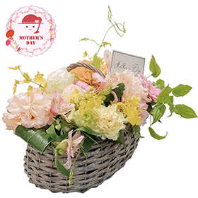 【母の日2026】生花バスケットアレンジ 26-MD-FF05 1852-377 フラワー 花【送料込み】【二重包装不可】【お届け不可地域：北海道・沖縄・離島】【お届け日時指定不可】