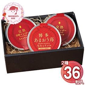 【母の日2026】あまおう苺&宮崎完熟マンゴー 生キャラメル詰合せ 3708-35 1852-579 スイーツ【送料込み】【二重包装不可】【お届け不可地域：北海道・沖縄・離島】【お届け日時指定不可】