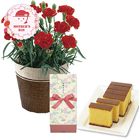 【母の日2026】カーネーションレッド4号&長崎かすてらセット 1853-999 フラワー 花 スイーツ【送料込み】【二重包装不可】【お届け不可地域：北海道・沖縄・離島】【お届け日時指定不可】