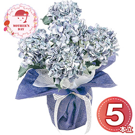 【母の日2026】アーティフィシャルフラワー紫陽花5本立ち ブルー 26-MD-10-BL 1852-252【送料込み】【二重包装不可】【お届け不可地域：北海道・沖縄・離島】【お届け日時指定不可】