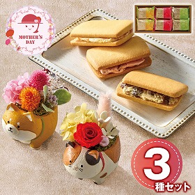 【母の日2026】アニマルプリザと 銀座千疋屋 銀座フルーツサンド スイーツ 洋菓子【送料込み】【二重包装不可】【お届け不可地域：離島】【お届け日時指定不可】_81010