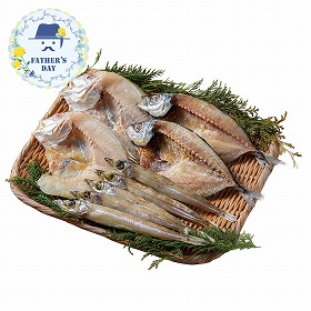 【父の日2026】山陰海鮮一夜干しセット 6364-35 1856-248 魚介 干物【送料込み】【二重包装不可】【お届け不可地域：北海道・沖縄・離島】【お届け日時指定不可】