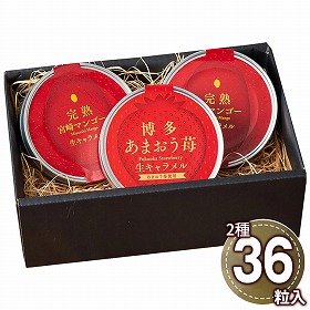 あまおう苺&宮崎完熟マンゴー 生キャラメル詰合せ 3708-35 1894-666 スイーツ 洋菓子【送料込み】【二重包装不可】【お届け不可地域：北海道・沖縄・離島】