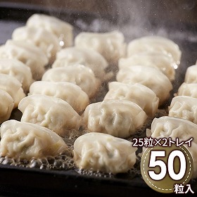 博多華味鳥監修 博多華味鳥監修 華味鳥ひとくち餃子セット HG-D2 1896-177 ぎょうざ ギョーザ【送料込み】【二重包装不可】【お届け不可地域：北海道・沖縄・離島】