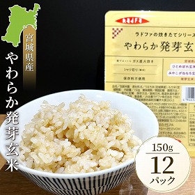 やわらか発芽玄米ごはん 宮城県 パックごはん ガス直火炊き【送料込み】【二重包装不可】【お届け不可地域：北海道・沖縄・離島】