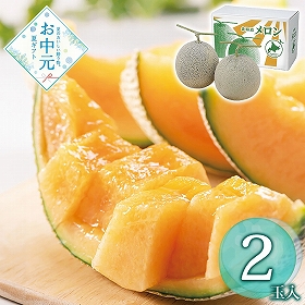 【お中元2026】北海道産 赤肉メロン2玉 810037 1625-059 フルーツ 果物【送料込み】【二重包装不可】【お届け不可地域：北海道・沖縄・離島】