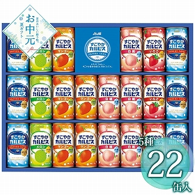 【お中元2026】カルピス すこやかカルピスギフト SC30S 1669-099 飲料 セット【送料込み】【二重包装不可】【お届け不可地域：北海道・沖縄・離島】
