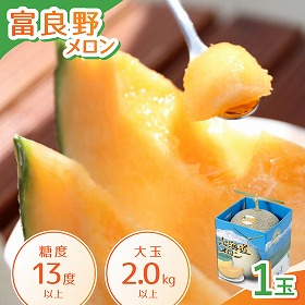 富良野メロン 大玉1玉入り フルーツ 果物 メロン 北海道 ふらの【送料込み】【二重包装不可】【お届け不可地域：沖縄】【お届け日時指定不可】