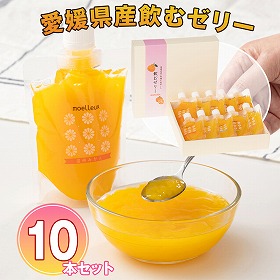 ワッフルアトリエ ムエル 愛媛県産飲むゼリー10本セット【送料込み】【お届け不可地域:北海道・沖縄・離島】
