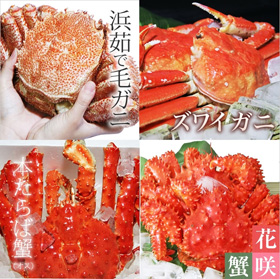 北海道 「4大蟹メガ盛り」(毛ガニ、タラバ、ズワイ、花咲)計3.2kg前後 【送料込み】